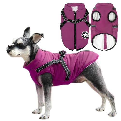 Voarge Hundejacke Winterweste Jacken, Hundemantel mit Geschirr für Kleine Hunde Hundemantel Wasserdicht Maschinen Waschbarer Reflektierender Streifen Design Haltbarer D-Ring (Lila, M)