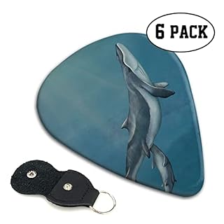 ASDTEHCY Lot de 6 médiators en celluloïd, baleine, pour guitares acoustiques, électriques, basses ou ukulélé - Les Beatles, Paul McCartney, John Lennon, RIngo Starr, George Harrison ASDTEHCY Lot de 6 médiators en celluloïd, baleine, pour guitares acoustiques, électriques, basses ou ukulélé – Image 4