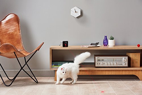 Petcube [2017 Item] Play Smart Pet Camera With Interactive Laser Toy. Remote Dog/Cat Monitoring With Hd 1080P Video, Two-Way Audio, Night Vision, Sound/Motion Alerts. App-Enabled Pet And Home Safety #TOP7