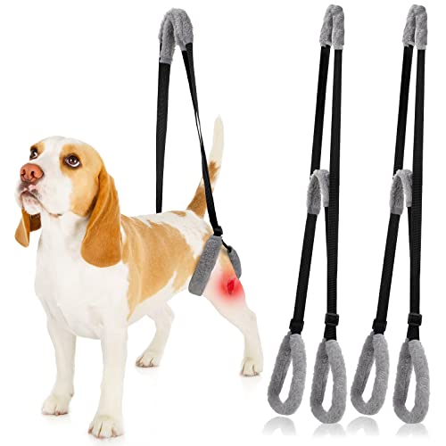 2 Stück Hunde-Stützgeschirr für Rückenbeine, Hunde, Heck-Hebehilfe mit Griff und Schultergurt, Hinterbeinunterstützung für Haustiere, Arthritis, Gelenkverletzungen (schwarz) Cover