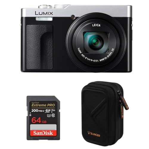 Panasonic LUMIX ZS99 fW^J-Vo[