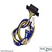 Lexmark Cable Assembly