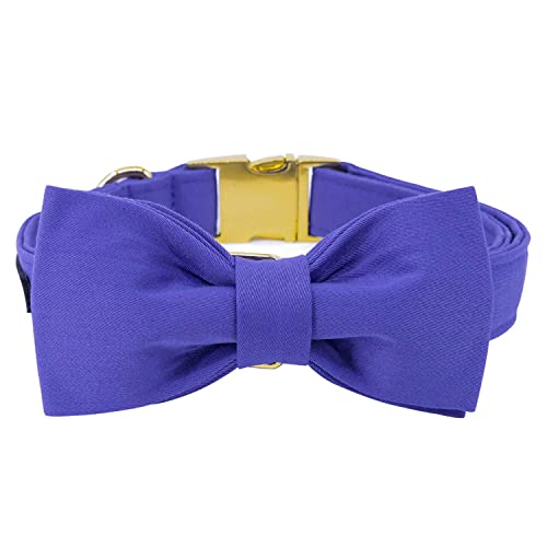 Unique style paws Dog Collar with Bowtie - Image 4