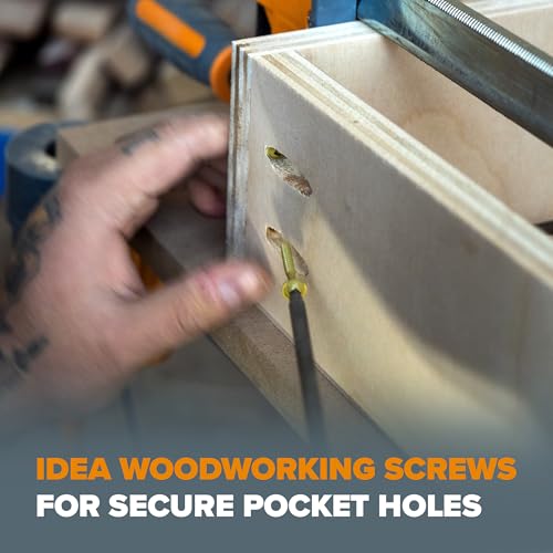 Pocket Hole Screws 800 Piece Assortment Kit - Bora Pocket Hole Jig Compatible Wood Screws Square Drive Fine & Coarse Thread for Pocket Screw Jig - 1 to 2.5 Inch Set Screw Kit Indoor & Outdoor Use by BORA - Used condition - Image 5