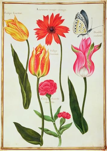 Peinture sur toile nordique abstraite avec tulipes et anémone pour décoration murale 60x90