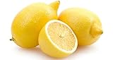  Un envío libre Paquete 50 PC Citrus limon semillas de frutas Jardín Terraza Semilla Semilla Orchard Farm Familia en maceta de Bonsai de limón 1