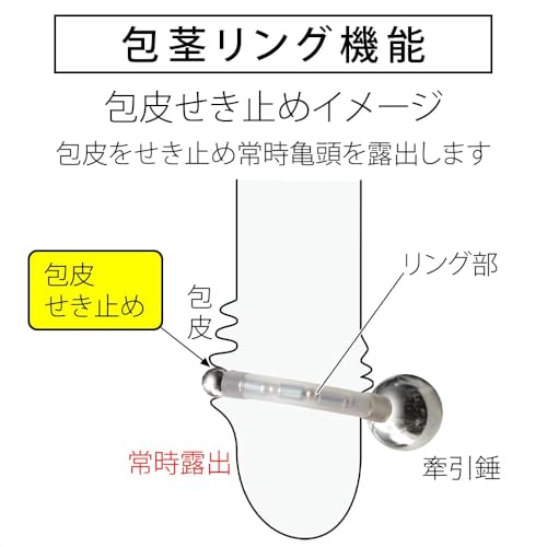 クマッキー A40鎖型ST 包茎 ペニス 牽引 リング 小さめ 対応 増大 チントレ 日本製 磁石 器具（落下防止付） - 画像4
