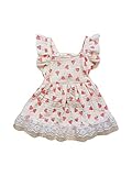 QWINEE Cute Flower Pattern Dog Dress Ruffle Trim Princess Dress Cat Vest Dress Lace Trim Summer Dress Pet Clothes for Small Medium Cats Dogs Kitten Puppy Pink M