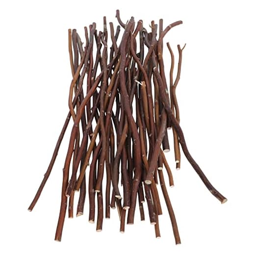 PRETYZOOM 40St Trägrenar Naturliga Trädgrenar Kvistar Trä Timmer Pinnar Kvist Dekorativa Björkgrenar Pinnar Driftved Naturliga