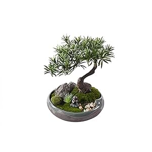 kunstmatige bonsai plant Realistische podocarpus bonsai boom gesimuleerd gazon natuurlijke steentjes keramische…