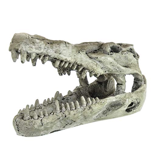 NOMOYPET NS-60 CRÂNIO CROCODILO 13,8X8,5X6,8CM