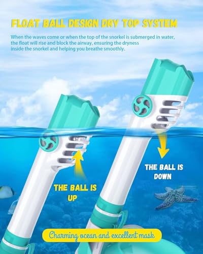 Image of Delavala Full Face Snorkeling Mask Diving Gear - Dry Top System,180 Degree Panoramic View Snorkeling Mask with Camera Mount,Safe Breathing,Anti-Leak Anti-Fog-Swim Fins (Green- Large /X-Large)