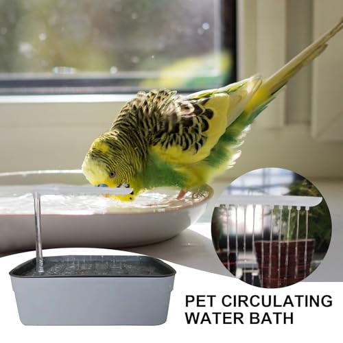 Bañera para pájaros automática con flujo constante y conexión USB 7