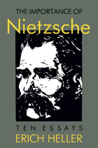 The Importance of Nietzsche (Sino-American-German Documentary)