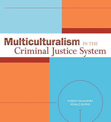 Buy Multiculturalism in the Criminal Justice System — BookShops.in