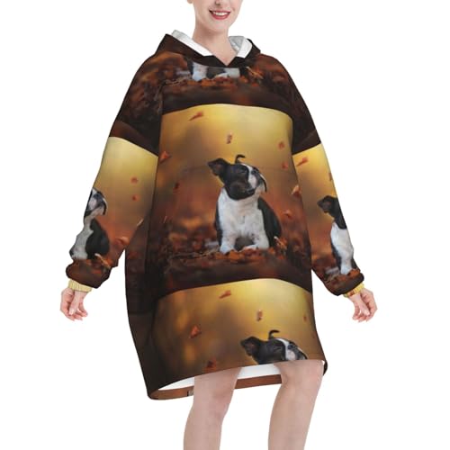 Sweat à capuche flanelle Boston Terrier finitions premium - 2