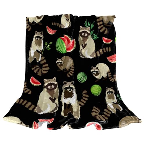 Couverture polaire microfibre chaude douce raton laveur 150x100 - 2