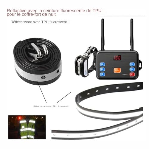 Forces et compromis clôture électronique