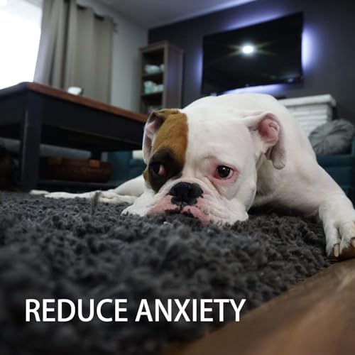 Toozey Hundespielzeug Kleine Hunde - 7 Stück Welpenspielzeug - Langlebiges Kauspielzeug und Quietschspielzeug Intelligenz - Naturbaumwolle und Ungiftig