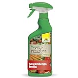 Neudorff BioKraft Vitalkur für Obst & Gemüse AF – Anwendungsfertiges Spray mit natürlichem Schachtelhalm vitalisiert geschwächtes Obst & Gemüse, 500 ml