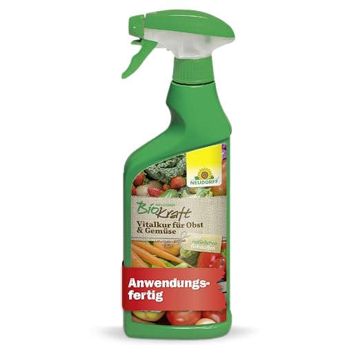 Neudorff BioKraft Vitalkur für Obst & Gemüse AF – Anwendungsfertiges Spray mit natürlichem Schachtelhalm vitalisiert geschwächtes Obst & Gemüse, 500 ml