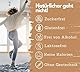 EXVital Vitalpilze Komplex- Hericium, Cordyceps, Reishi, Chaga, Shiitake & Maitake- 1480mg Pilzextrakt pro Tag, 120 vegane Kapseln,hochdosierter Pilzkomplex, laborgeprüft