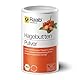 Raab Vitalfood® Bio Hagebutten Pulver (500 g) - Premium-Sorte AP-4® Hagebutte aus dem Süden von Chile, mit natürlichem Vitamin C für eine normale Kollagenbildung & Knorpelfunktion, ohne Zusätze