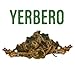 Yerbero - Osha Root 1 oz (28g) | Raiz de Chuchupate | Ligusticum porteri | Mountain Carrot, Bear Root |100% All Natural | Purification, Metaphysical Exploration, and Wiccan Practices.