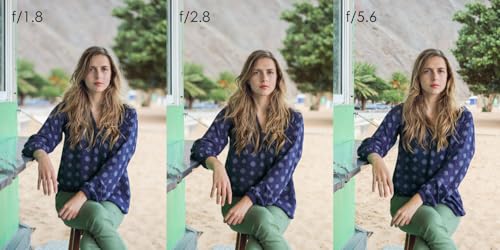 Canon EF 50mm f/1.8 STM Lens International Version (No warranty)