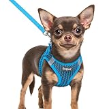 Picture of Eagloo Small Dog Harness and Leash Set, Step in Puppy Vest with Breathable Soft Mesh, Walking Reflective Pet Harness for Extra Small Dogs, Blue, XXS