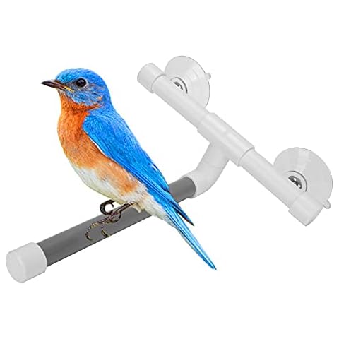 Bird Shower Perch with Suction Cups Cover