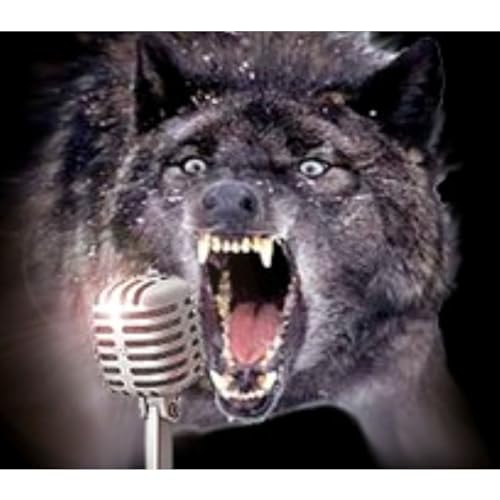 Page de couverture de Trapping Radio Podcast 535, Jeff talks about selling bobcats, conventions and game cameras!