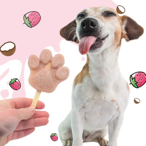 BeG Buddy EIS für Hunde [ohne Zuckerzusatz] als Snack, Hundeeis Selbermachen, Abkühlung Hund, Dog Ice [100% natürlich], Hundeleckerli mit gesunder Erdbeere & Kokos