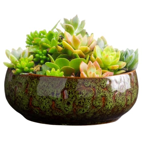 Piantatrice Idroponica in Ceramica - Fioriere Ciotola di Acqua Esterna | Vaso Di Ceramica | Piantatrice per Piantare in acqua Al chiuso | Succulento | Vaso Di Fle