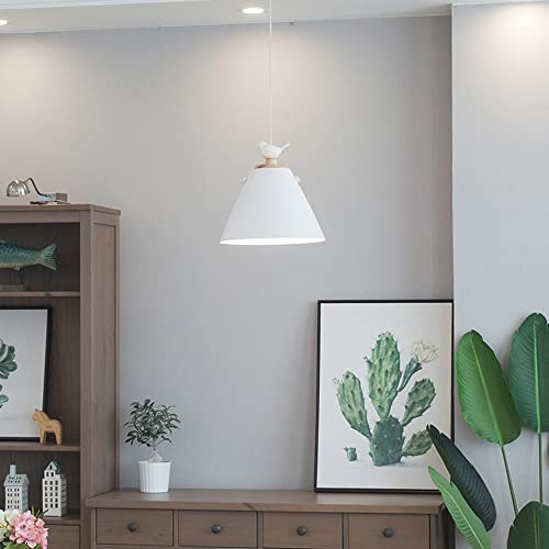 Jadssox Lampada a sospensione nordica lampada a