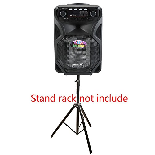 Tengchang Pro 12" Series Speaker Karaoke Machine DJ PA System Bluetooth Dual with Wireless Mics