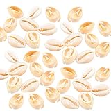 Größe: ca. 13-17 mm Kylewo 100 Stück Elite Muschel Perlen Bastelnmuscheln für DIY Schmuck
