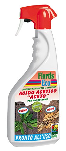 Flortis 1331920 Corroborante, Bianco, 7.3x11.6x30.5 cm