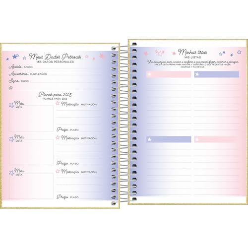 Tilibra - Agenda Espiral Diária 11,7 x 16,4 cm Shine 2025 - Prata