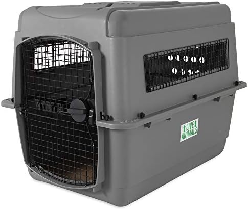 Petmate Sky Kennel Pet Carrier, 36 Inch