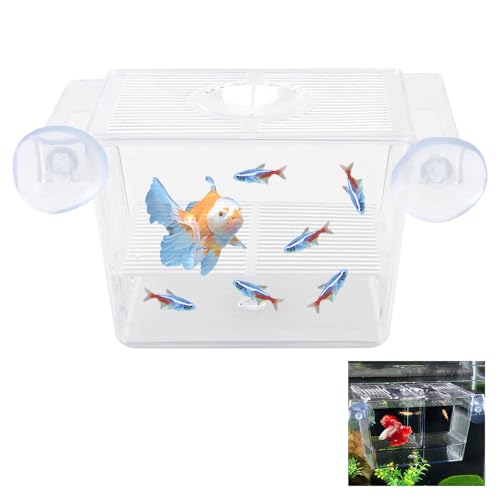 Fischzuchtkasten, Acryl Fisch-Isolationsbox mit Saugnäpfen, Selbstschwimmende Brutstätte für Babyfische, Garnelen und Meeresfische, Ideal für Guppys, Betta, Clownfische und Lebendgebärende
