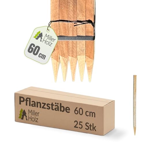 Holzpfähle Holzpflöcke Pflanzstäbe quadratisch mit vierkant Spitze 25 Stück | Eukalyptus | Holzpfähle für Markierungen | Rankstab für Pflanzen, Holzpfosten zur Abgrenzung - Stärke 2,2x2,2cm (60)