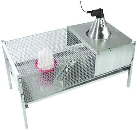 Avimac Kit cage for chicks Elba