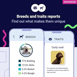 Koko-DNA-Test-for-Dogs-Advanced-175-Breeds-Health-Traits-reports-Updates-at-no-cost - Cucciolini Doodles   Koko-DNA-Test-for-Dogs-Advanced-175-Breeds-Health-Traits-reports-Updates-at-no-cost