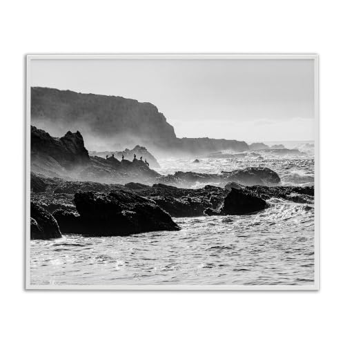 'Rocky Ocean Shoreline Waves Distant Birds'| Framed Giclee Art