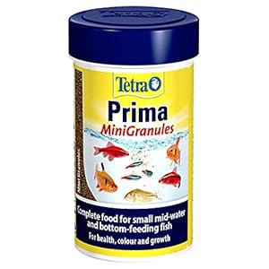 Tetra Prima Fish Food Mini Granules , Complete Fish Food for Small Mid-Water and Bottom-Feeding Fish, 100 ml