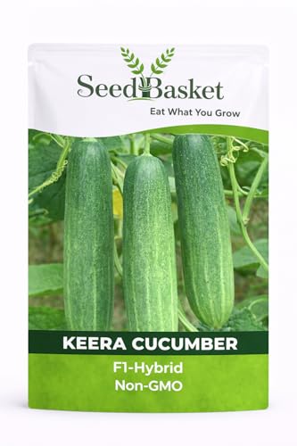 Seed basket Keera Cucumber Seeds for Home Garden – High Yield, Fa...