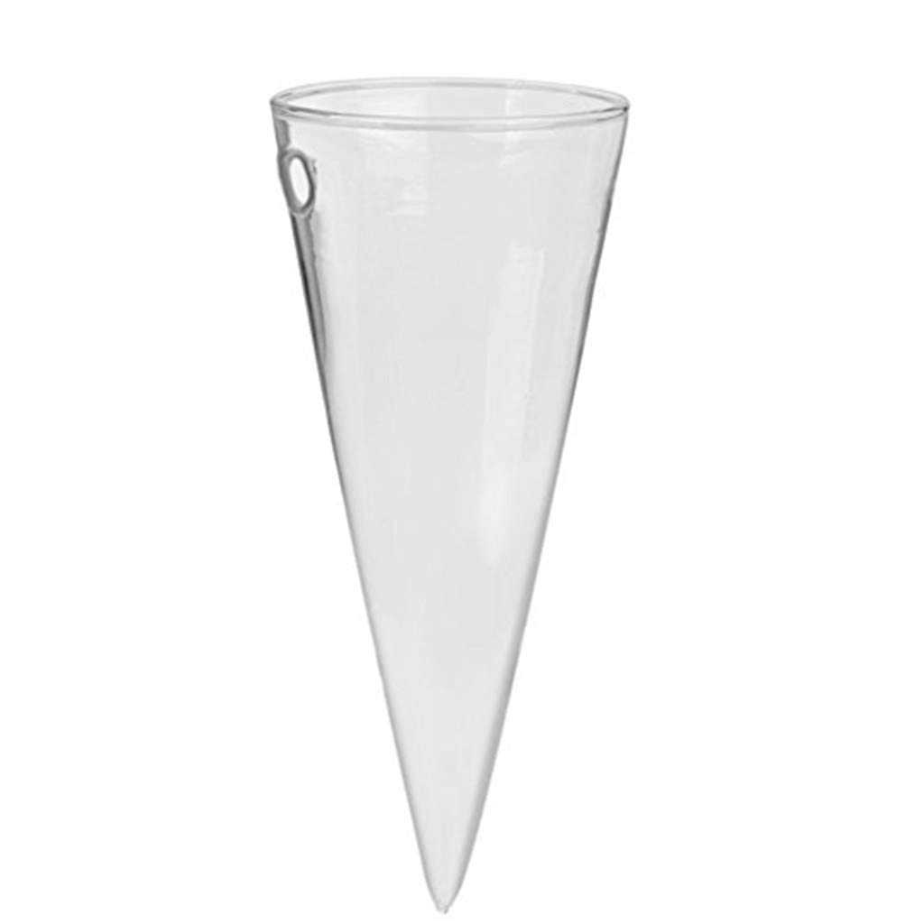 Glass Cone Vase Vases For You