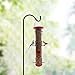 Bird Feeder Hanging Classic Tube Hanging Feeders with 6 Feeding Ports Premium Hard Plastic with Steel Hanger Waterproof and Water Resistant Great for Attracting Birds Outdoors Garden (Red -1 Pack)