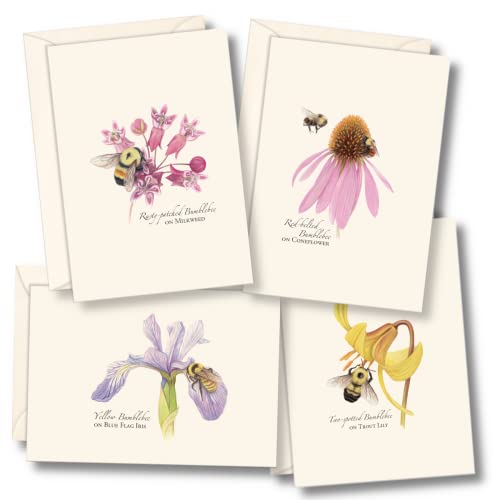 Image of Earth Sky + Water - Bumblebee Assortment Notecard Set - 8 Blank Cards with Envelopes (2 each of 4 styles)